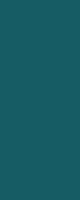 W058 color swatch